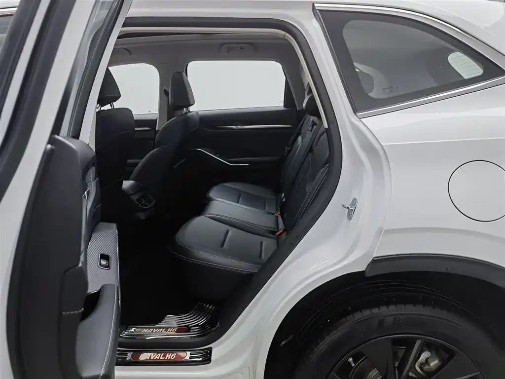 Haval H6 2021 3rd Generation 2.0T Auto 2WD Max фото 15