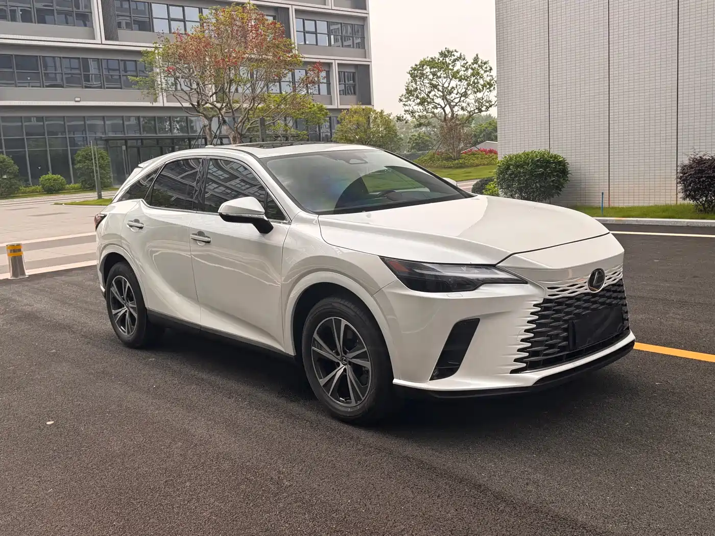 Lexus RX 2025 300 4WD Premium Edition фото 4