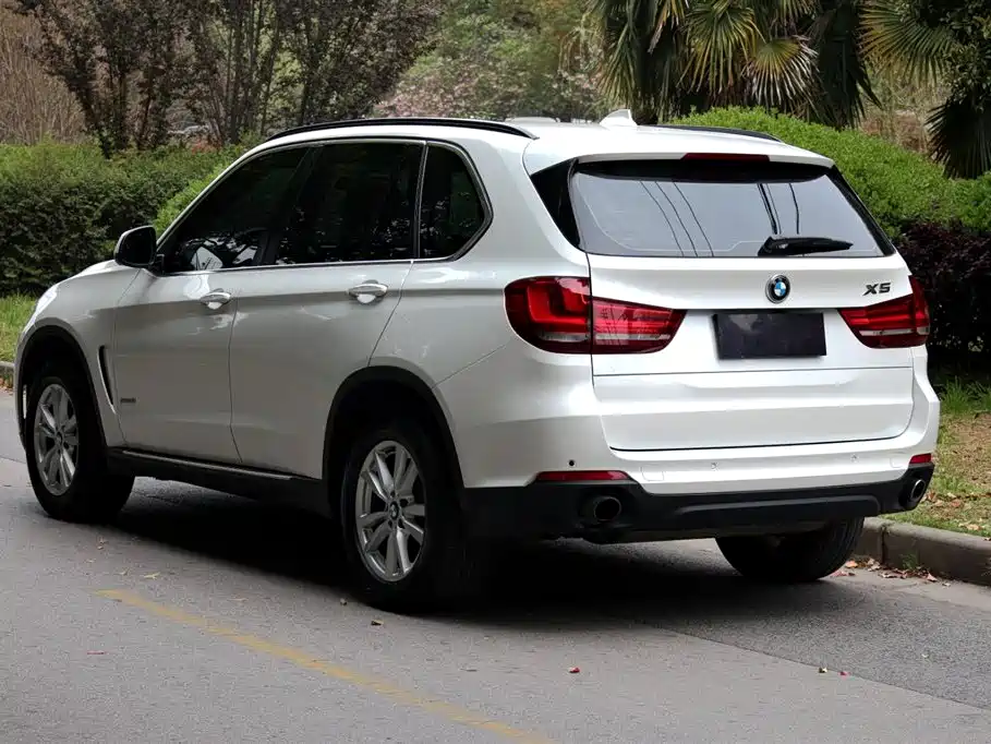 BMW X5 (Import) 2015 xDrive28i фото 5