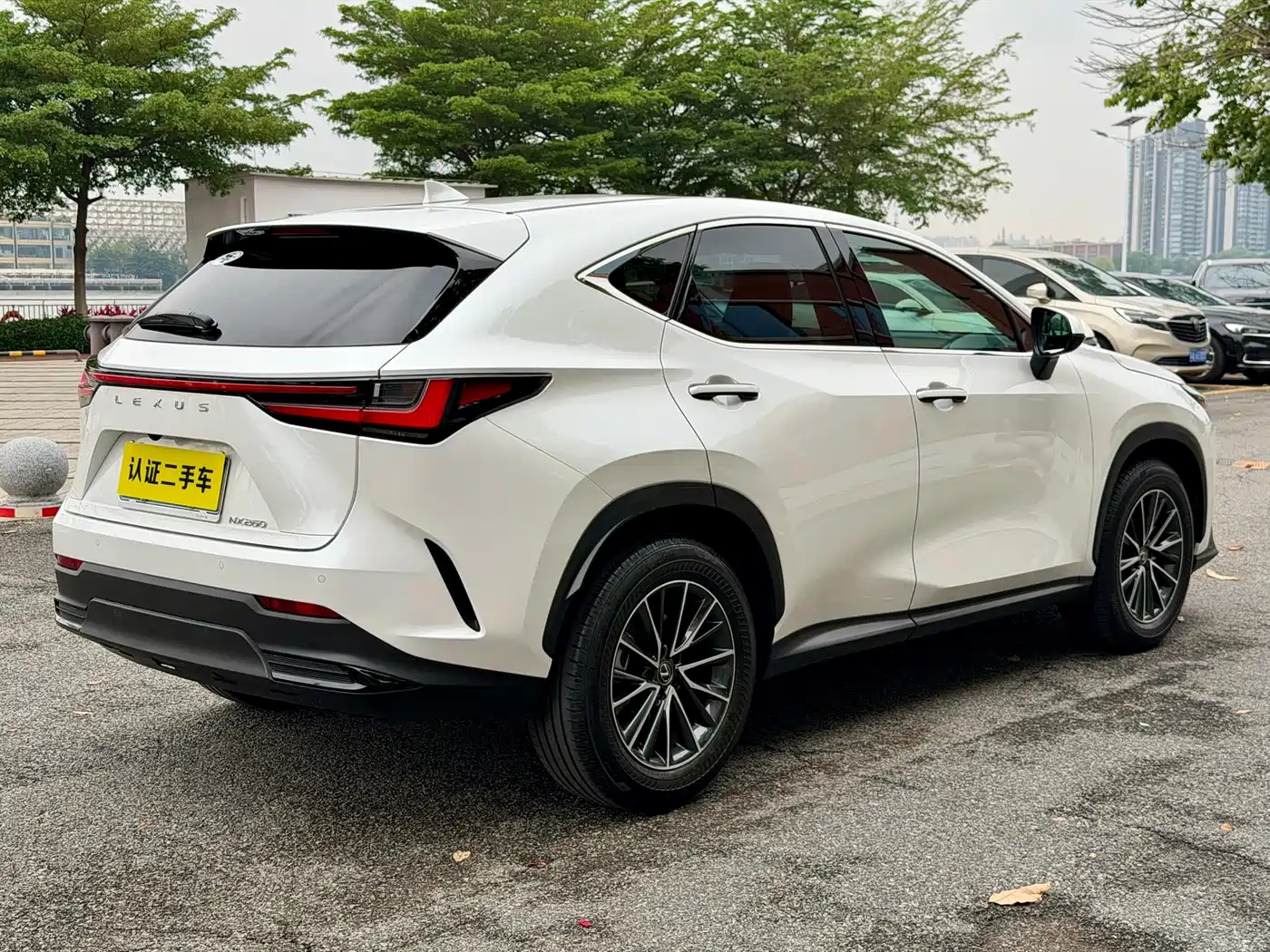 LEXUS NX