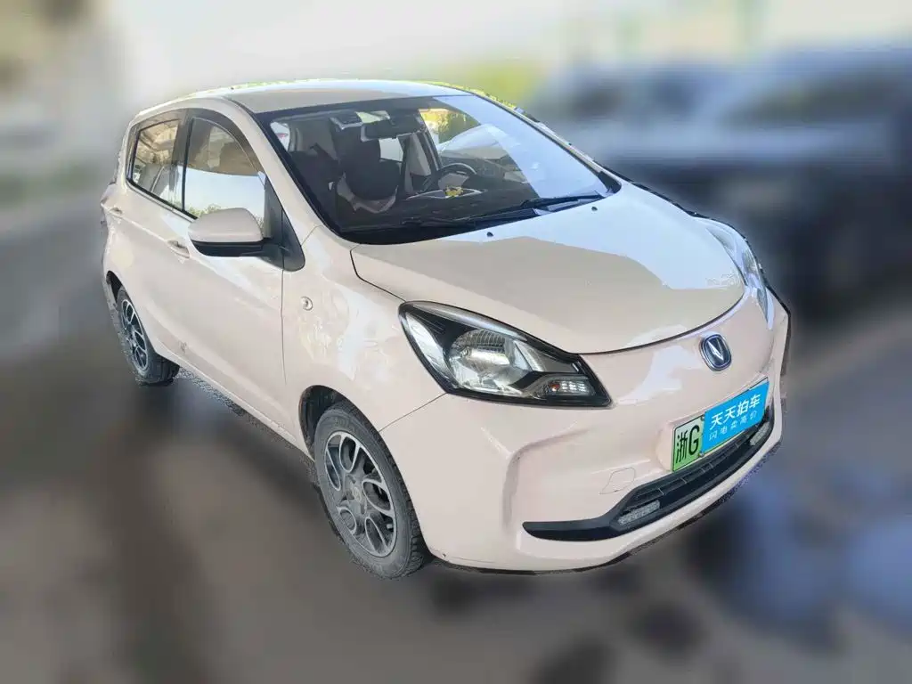 Changan Benben E-Star 2022 2021 National Edition Colorful Version LFP (31.86kWh)