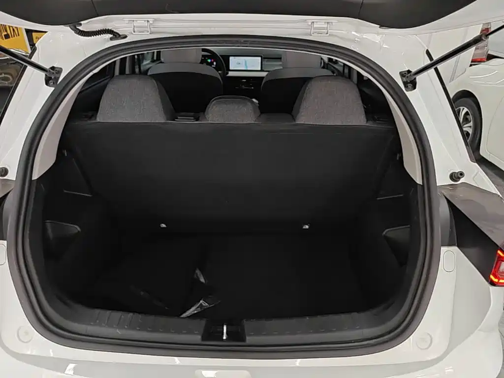 Geely Geometry E Firefly 2024 2024 301km Soaring Dragon Edition
