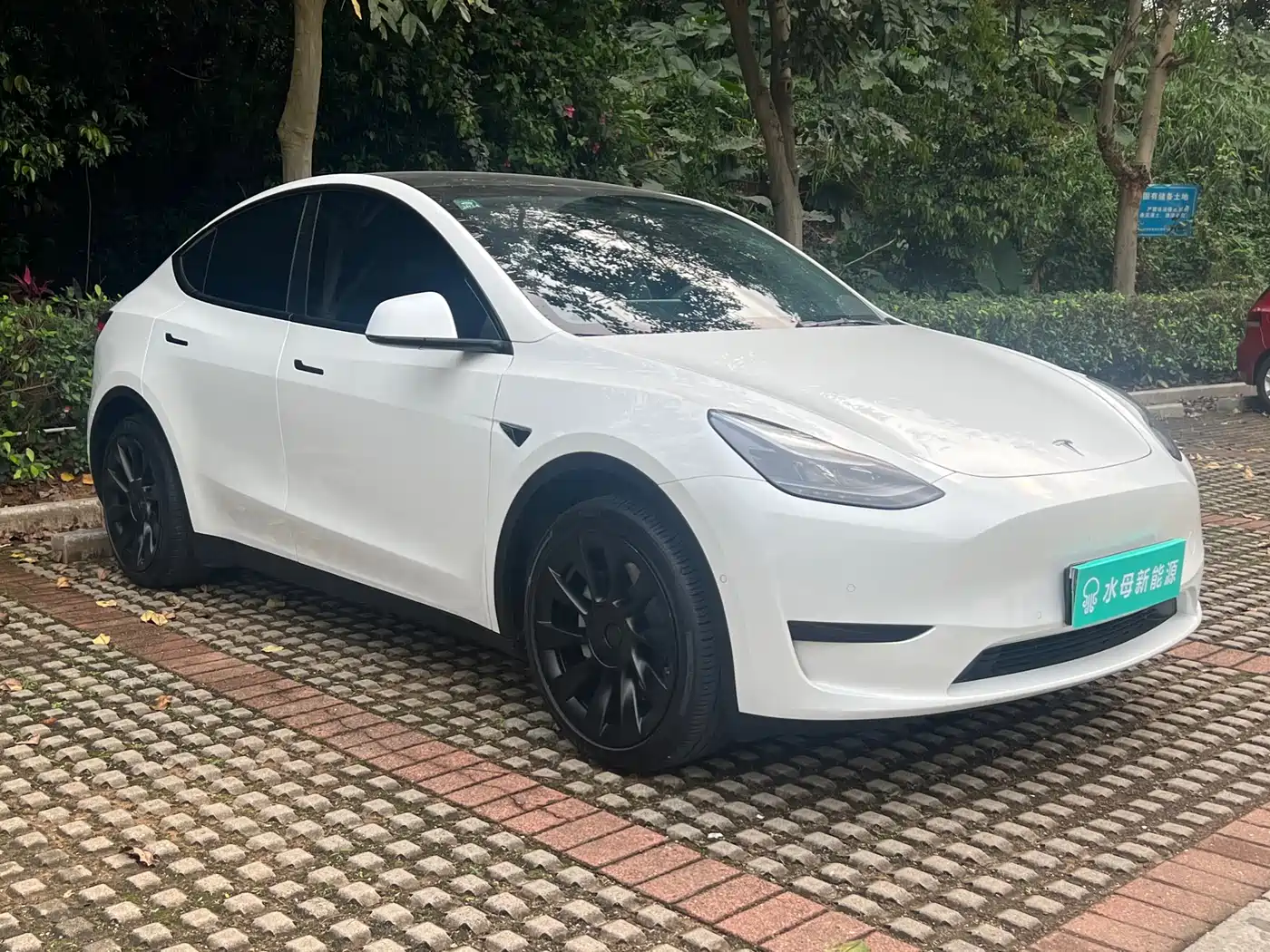 TESLA MODEL Y