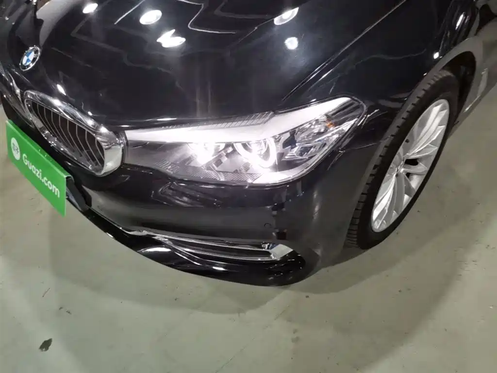 BMW 5 Series 2018 525Li Luxury Package фото 24