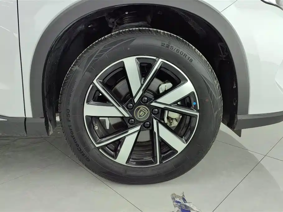 BYD Song Pro New Energy 2024 Glory Edition DM-i 71KM Pilot фото 6