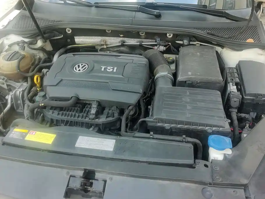 صورة 10 - Volkswagen Magotan