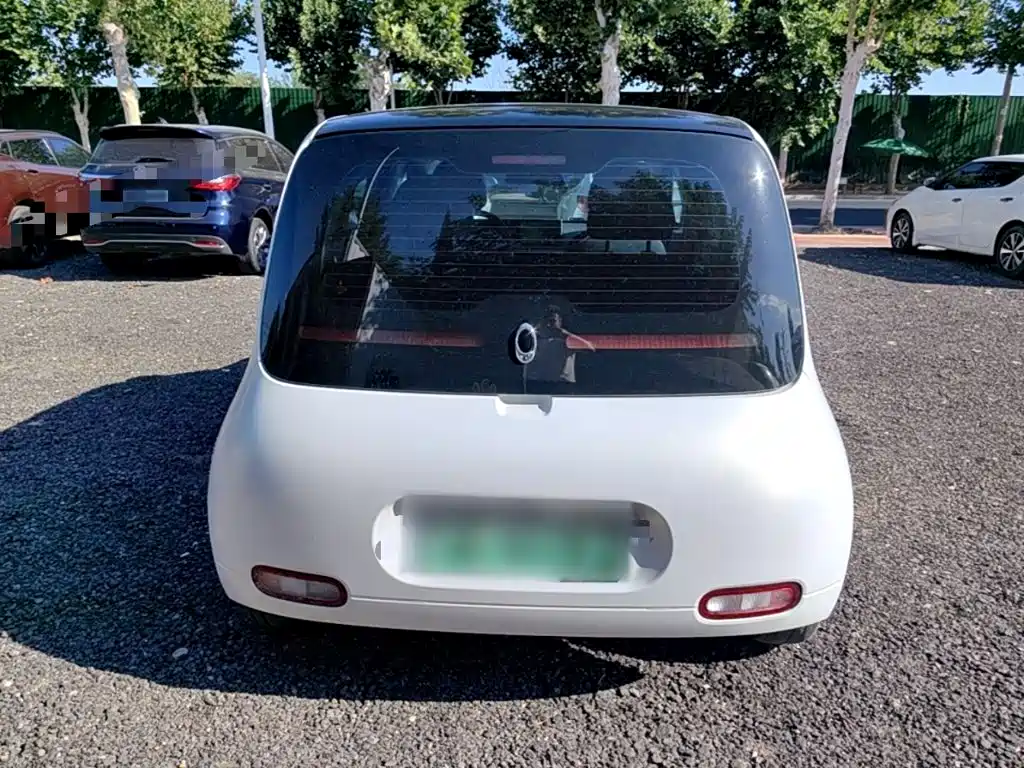 Ora White Cat 2020 2020 360km Luxury Model