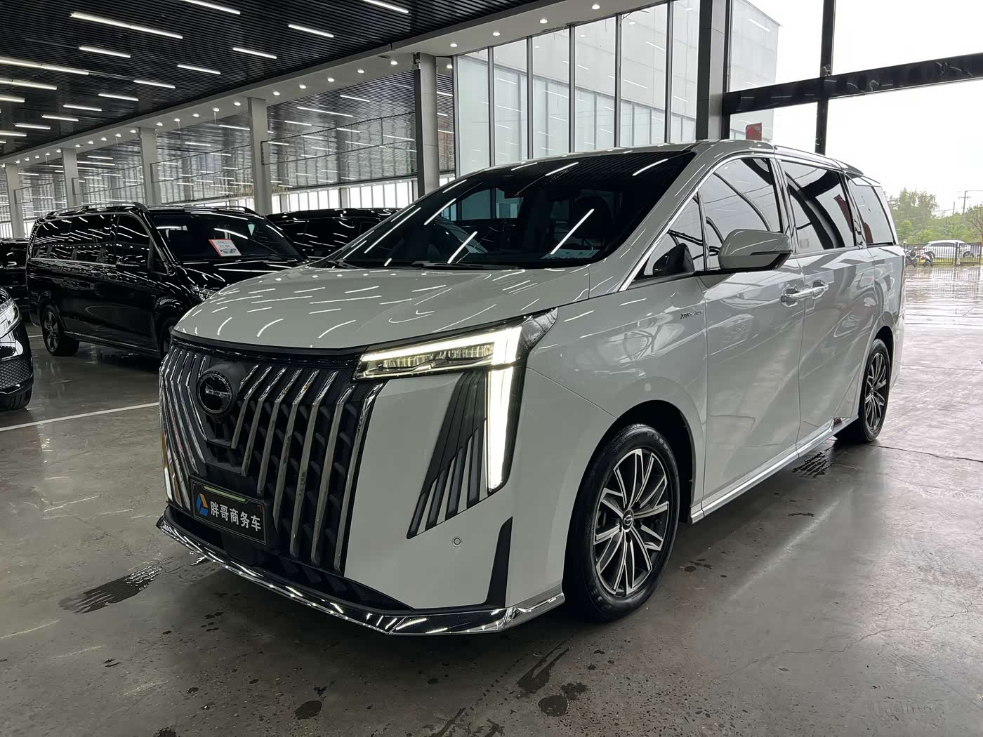 GAC Trumpchi Trumpchi M8