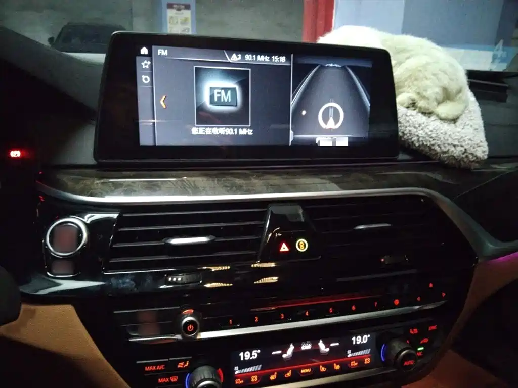 BMW 5 Series 2018 Facelift 530Li Exclusive M Sport Package фото 6