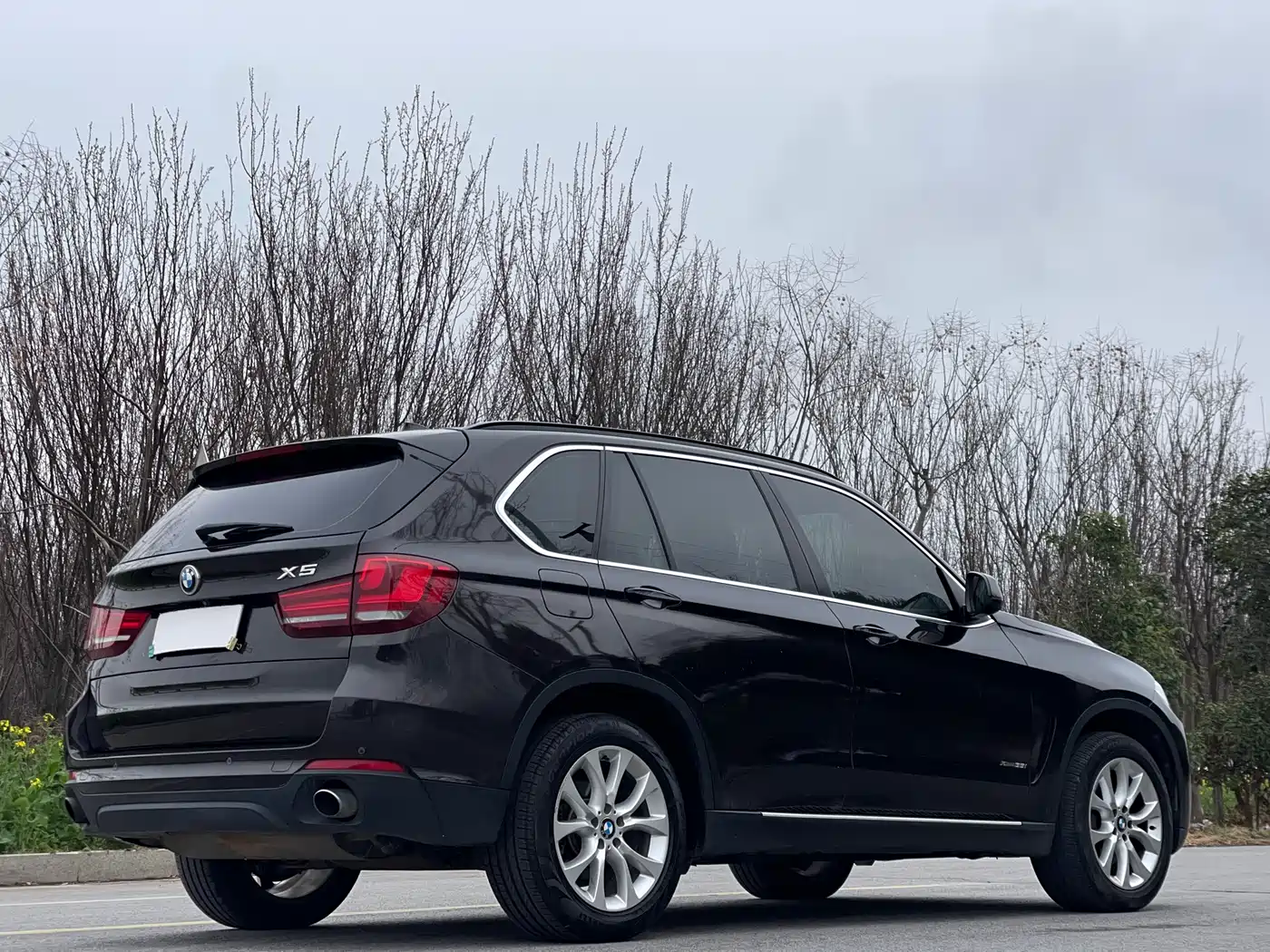 BMW X5 (Import) 2014 xDrive35i Elegance фото 7