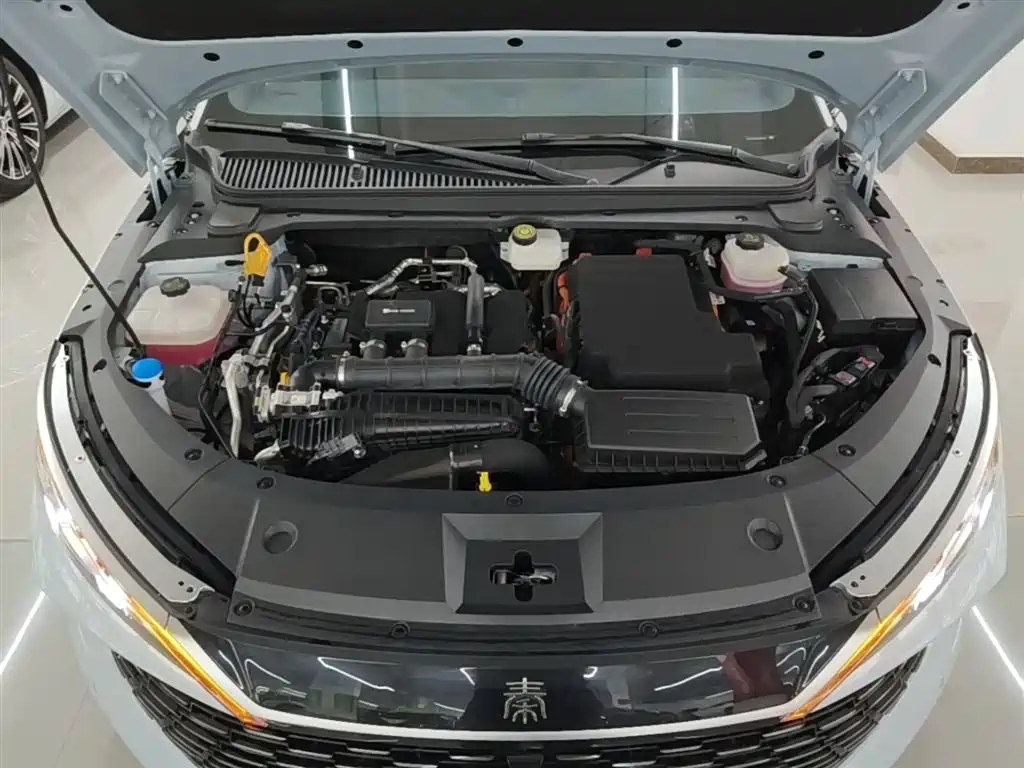BYD Qin L 2024 DM-i 80KM Superior фото 20