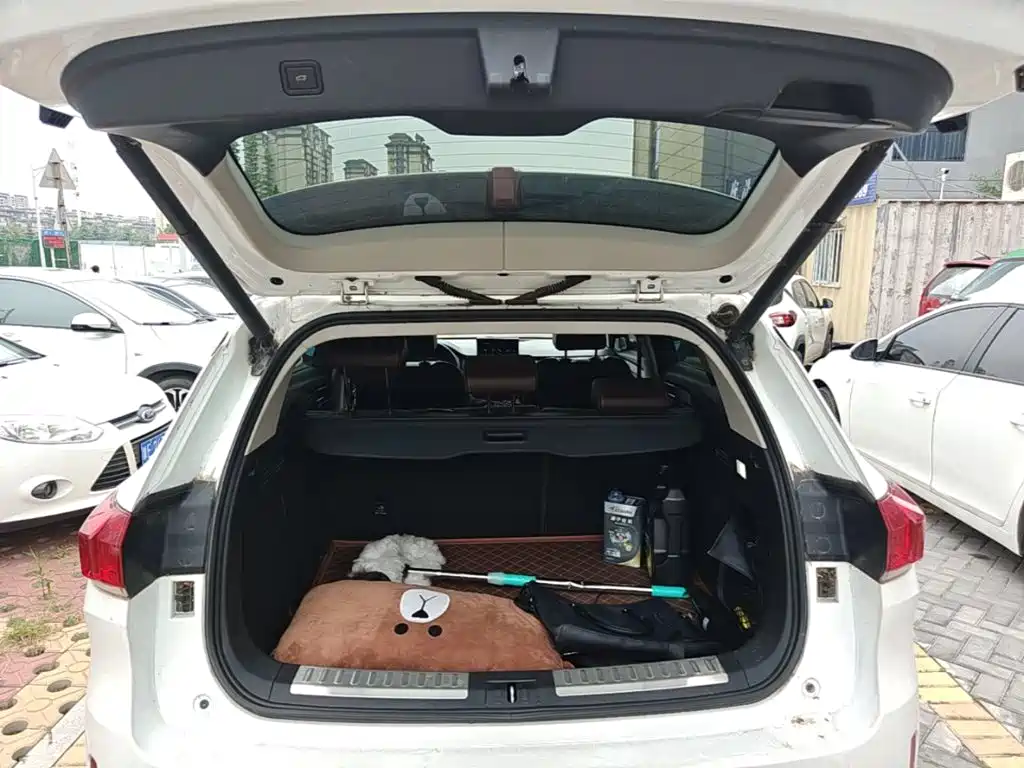 WEY VV6 2019 2018 2.0T 2WD Flagship China V