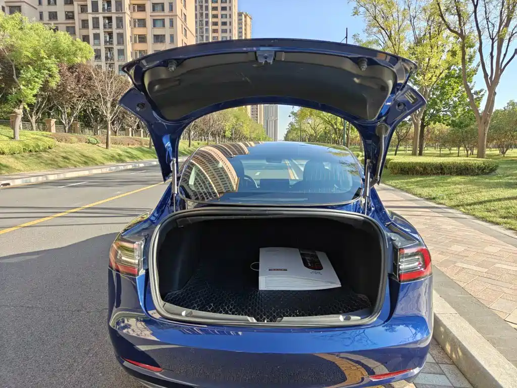 Tesla Model 3 2020 2020 Standard Range Rear-Wheel Drive Upgrade
