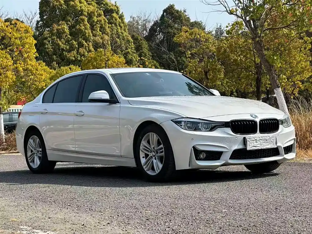BMW 3 Series 2017 320Li Luxury Design Package фото 3