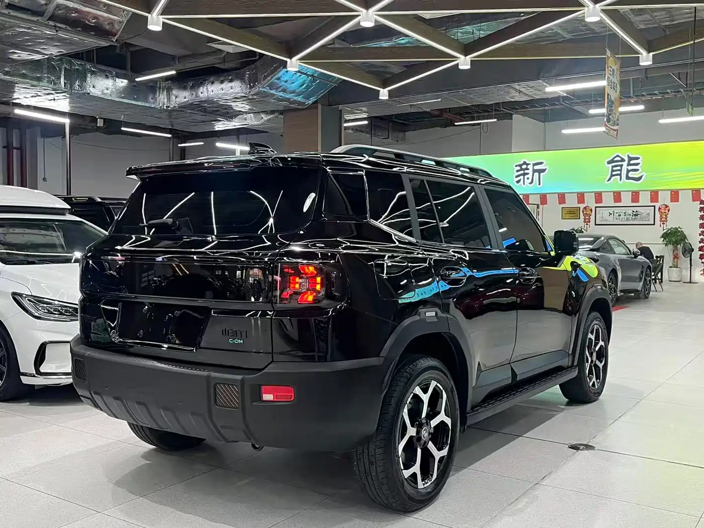 Jetour Shanhai T1 2025 2025 Model Year 150km Explorer