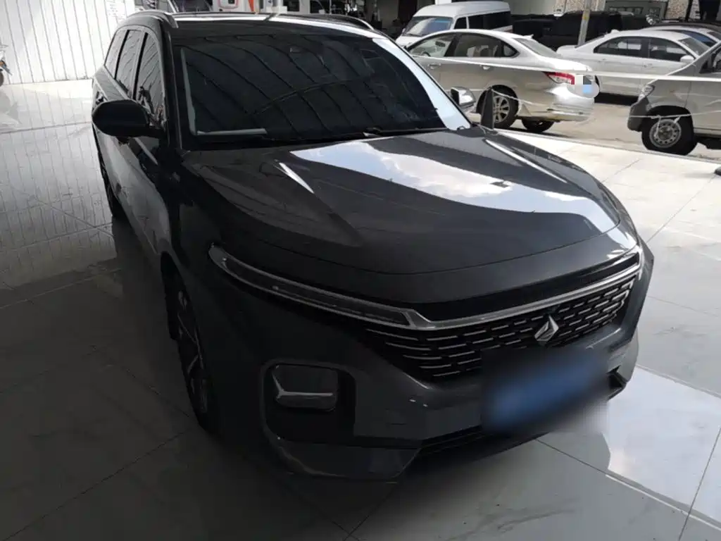 Baojun Valli 2021 2021 1.5T Dali Sky CVT Premium