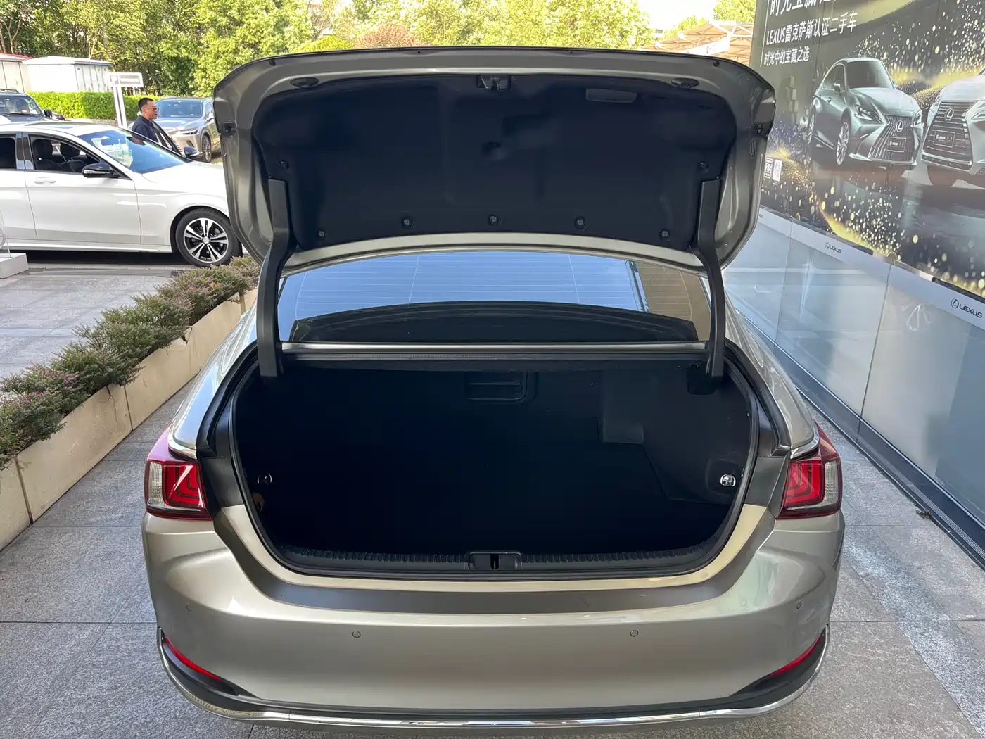 Lexus ES 2021 300h Excellence Edition фото 8