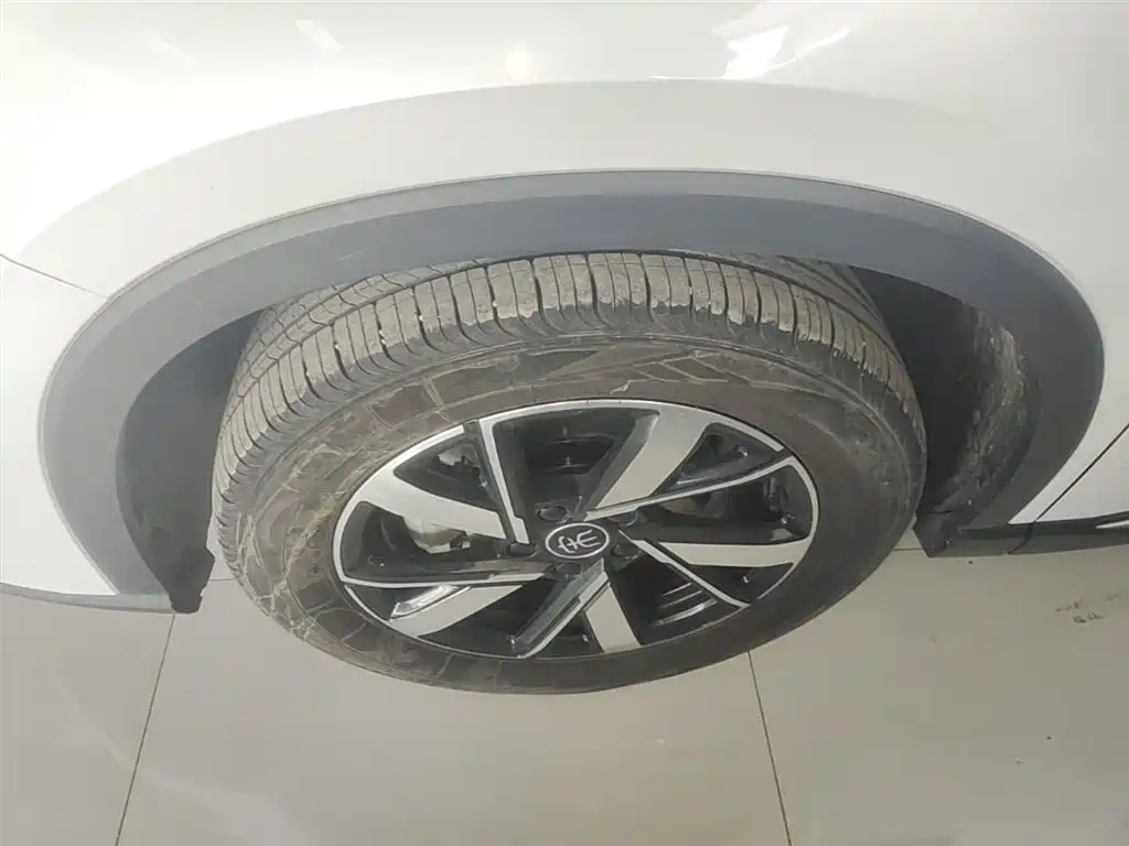 BYD Song Pro New Energy 2024 Glory Edition DM-i 71KM Pilot фото 23