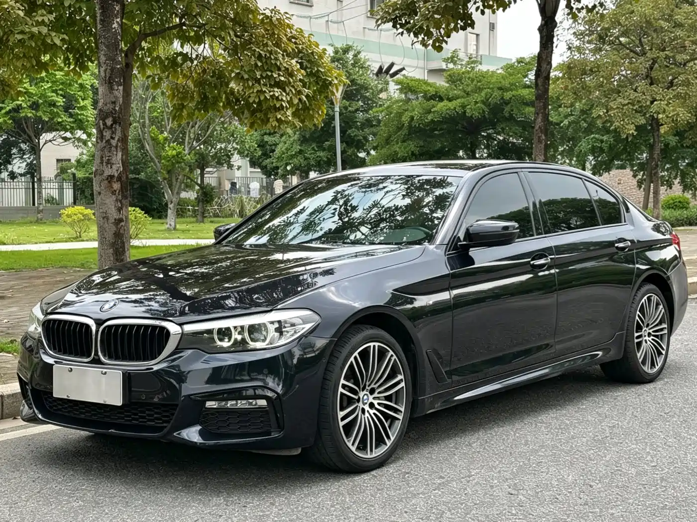 BMW 5 Series 2018 530Li Leading M Sport Package