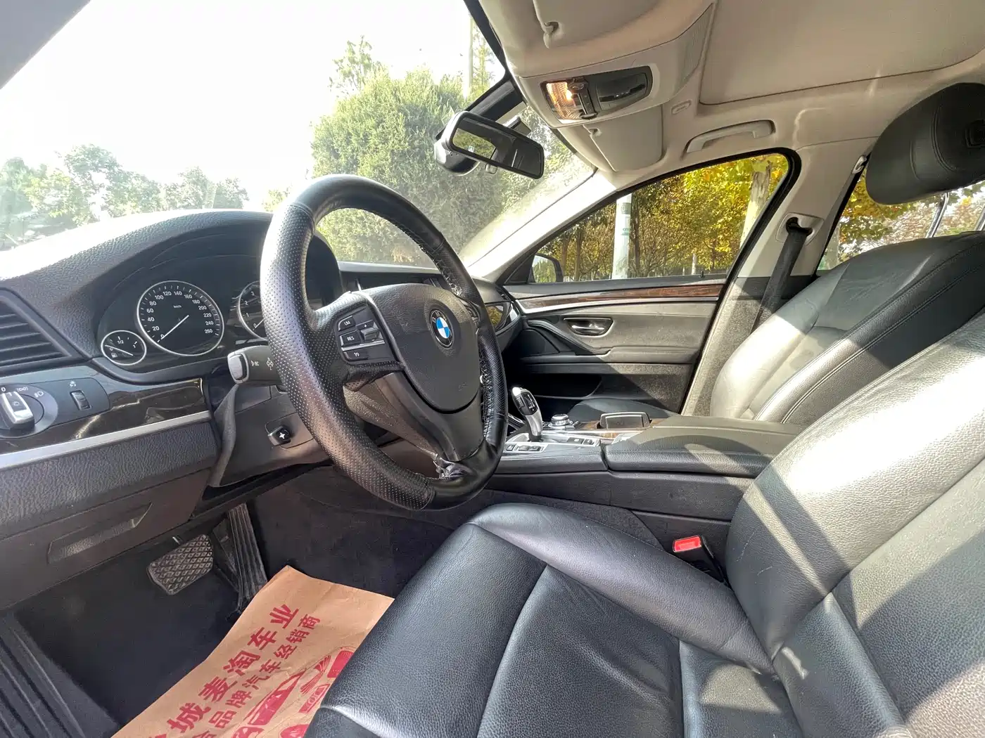 BMW 5 Series 2014 525Li Leading фото 8
