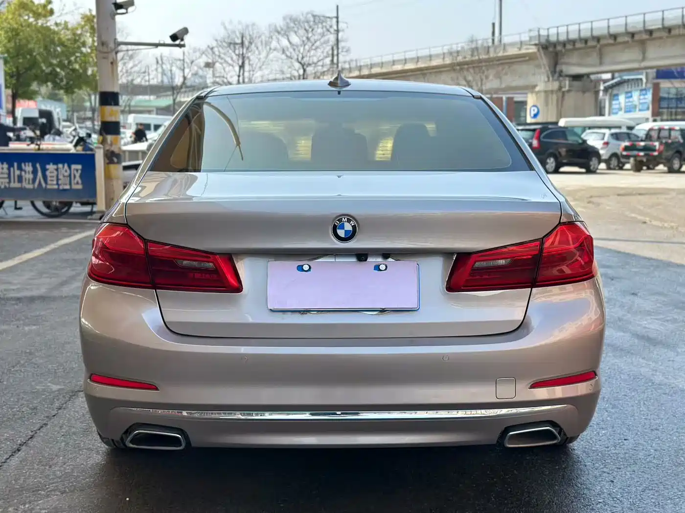 BMW 5 Series 2020 530Li Leading Luxury Package фото 5