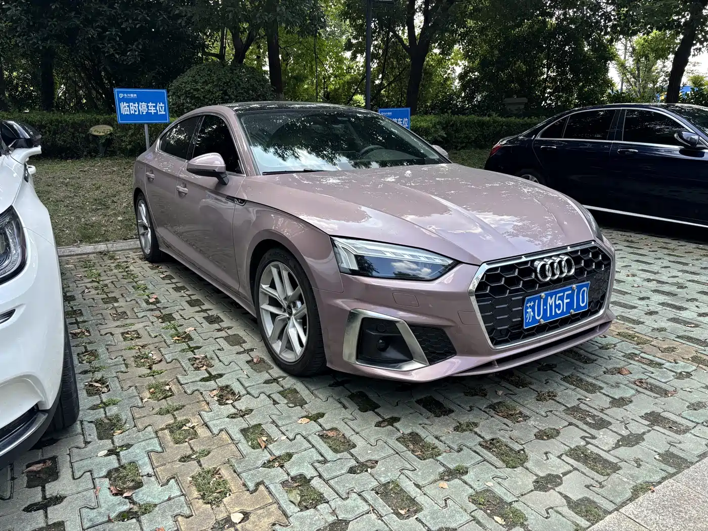 Audi A5 (Import) 2024 2023 Sportback 40 TFSI quattro Luxury Dynamic