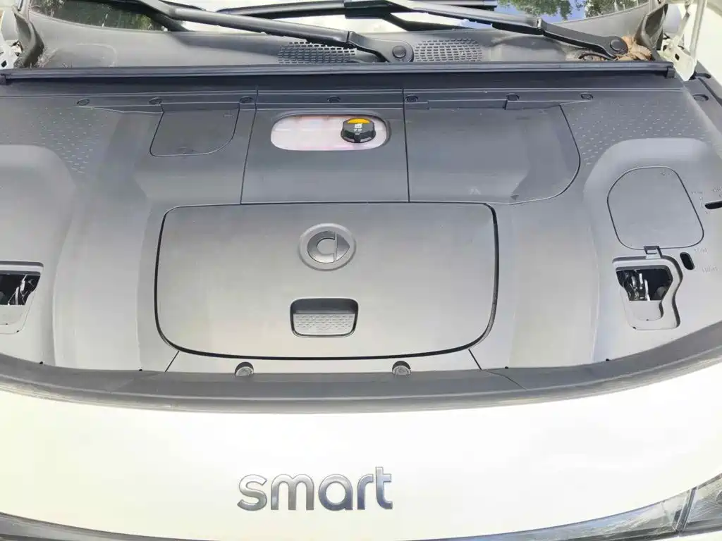 Фото 3 - smart #3