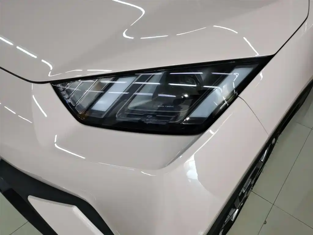 BYD Seagull 2025 305km Freedom фото 24