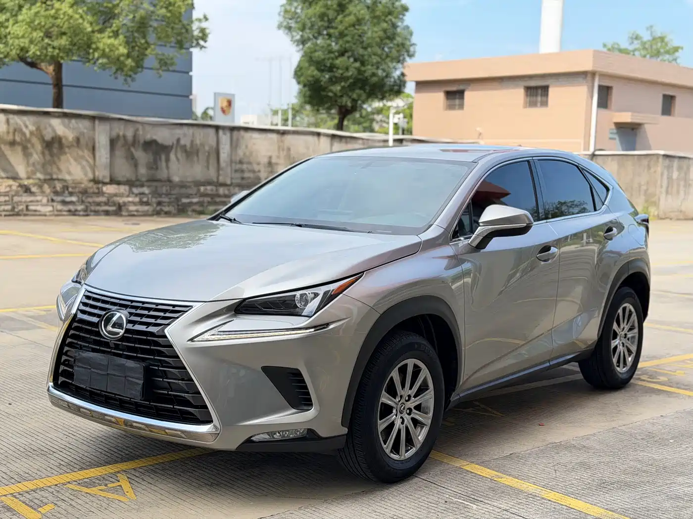 LEXUS NX