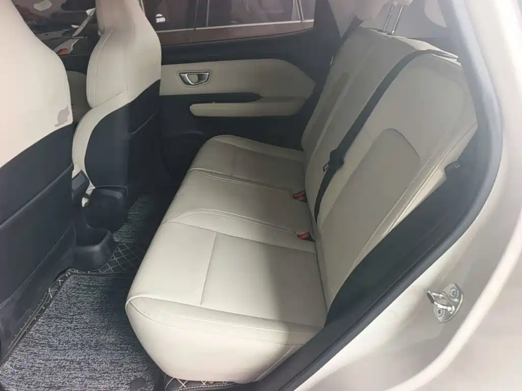 Wuling Motors Wuling Binguo PLUS 2025 2024 Model 330km 5-Seater