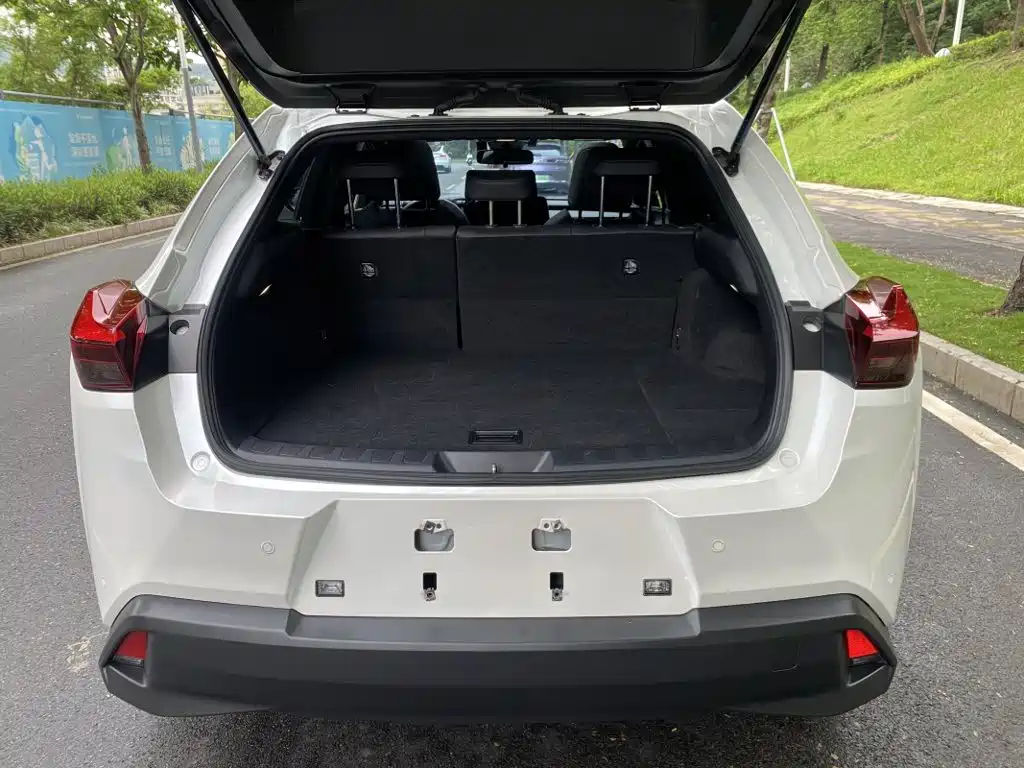 Lexus UX 2024 2022 260h Fun Edition