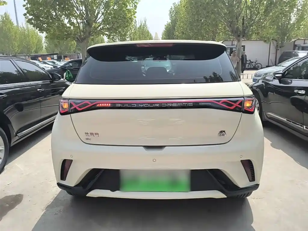 BYD Dolphin 2021 Model 405km Fashion Edition фото 6