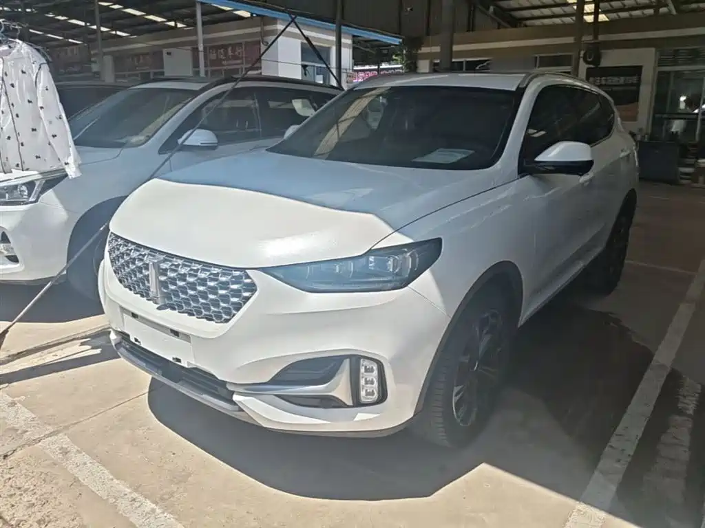 WEY VV6 2021 2.0T 2WD Smart Enjoyment+