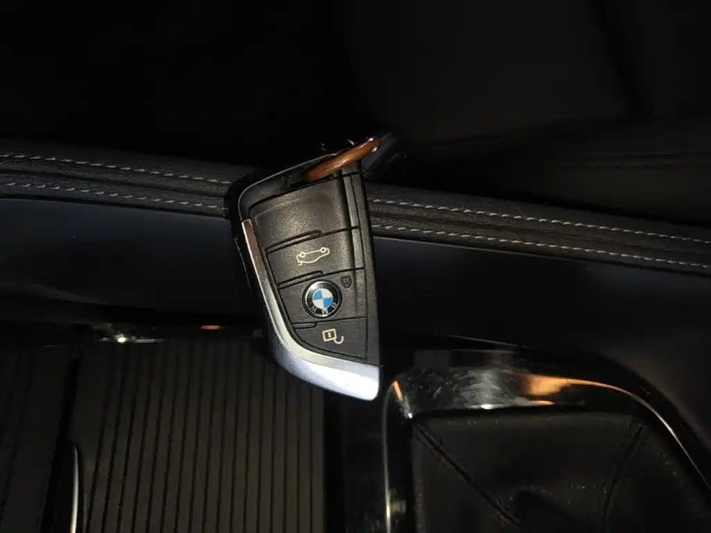 BMW X2 (Import) 2019 2019 sDrive20i M Off-Road Package China VI