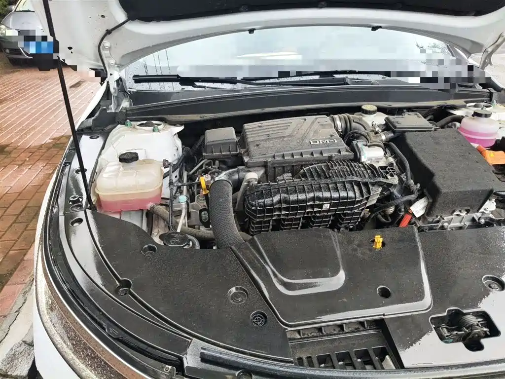 BYD Destroyer 05 2024 Glory Edition DM-i 55KM Luxury фото 23