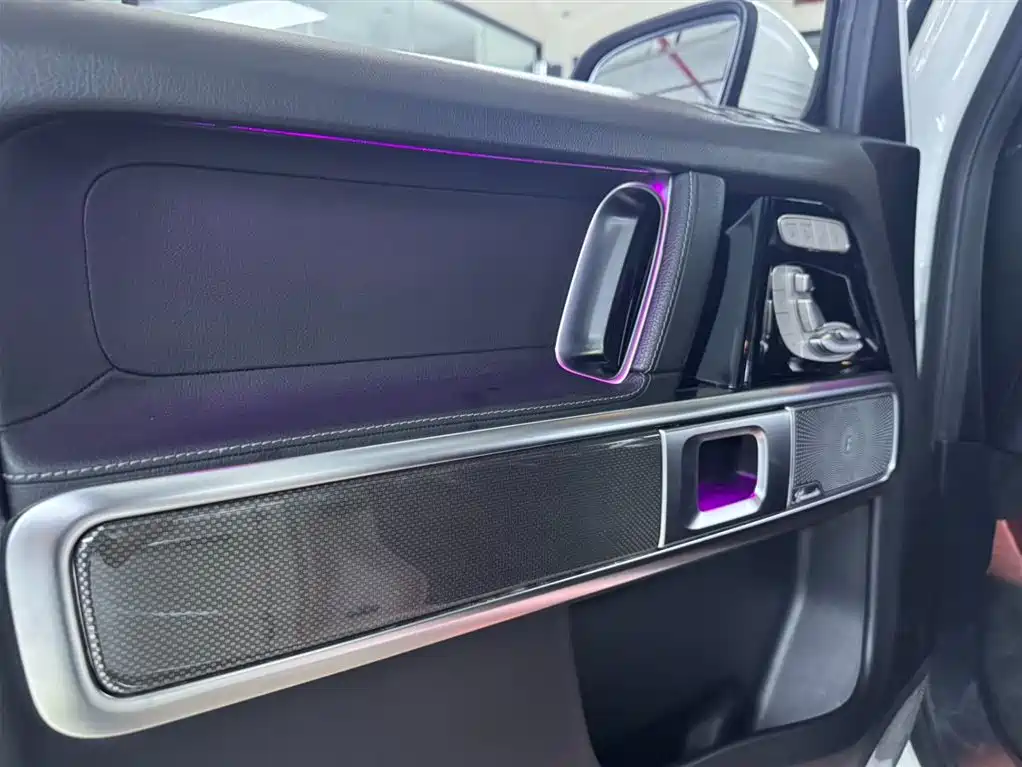 Mercedes-Benz G-Class 2020 G 500 фото 20