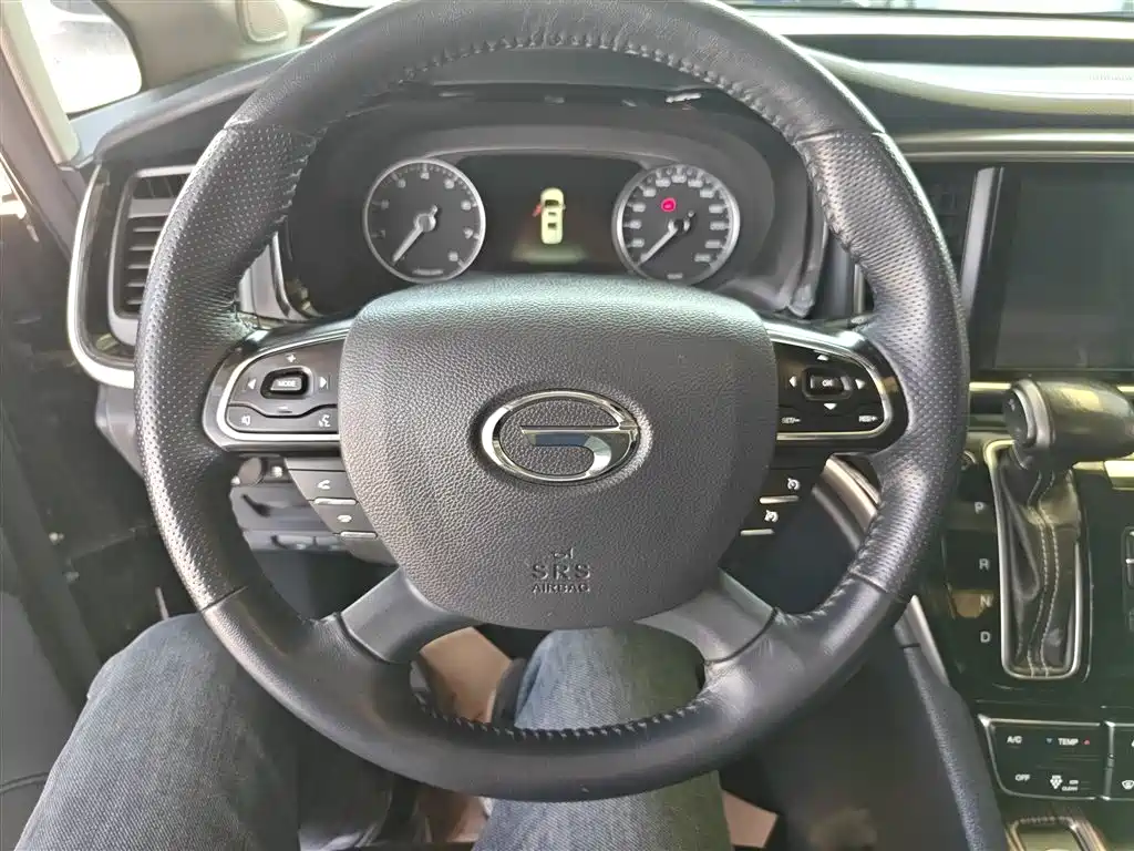 GAC Trumpchi Trumpchi M8 2020 Pilot 390T Prestige Edition фото 13