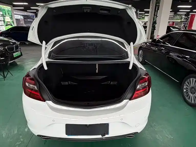 Buick Regal 2015 2.0L Leading Fashion Model фото 11
