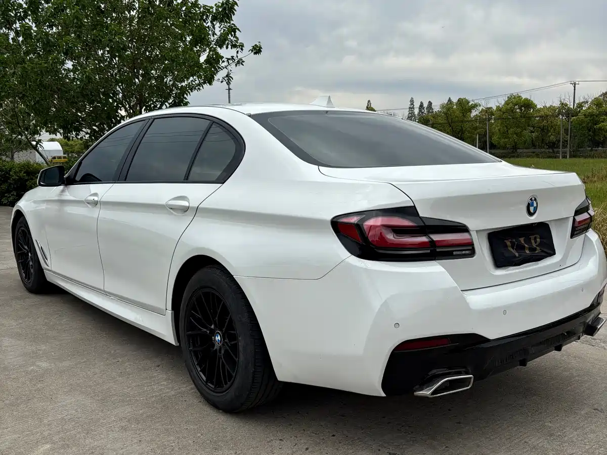 BMW 5 Series 2011 520Li Elegance фото 6