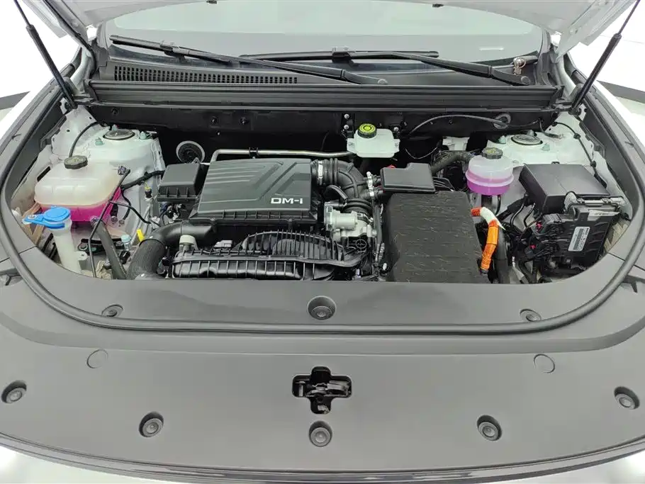 BYD Song Pro New Energy 2024 Glory Edition DM-i 71KM Pilot фото 10