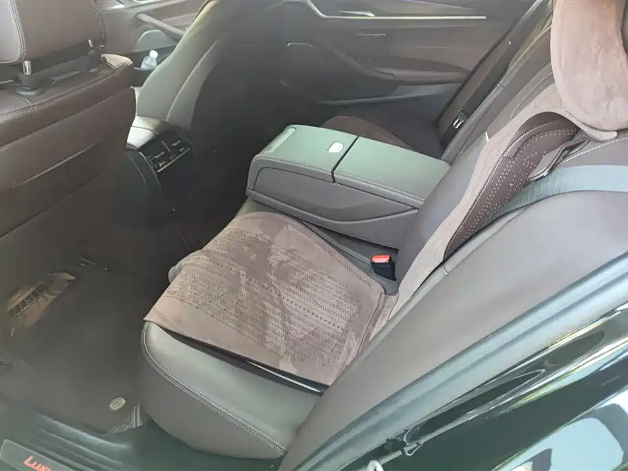 BMW 5 Series 2022 530Li Leading Luxury Package фото 11