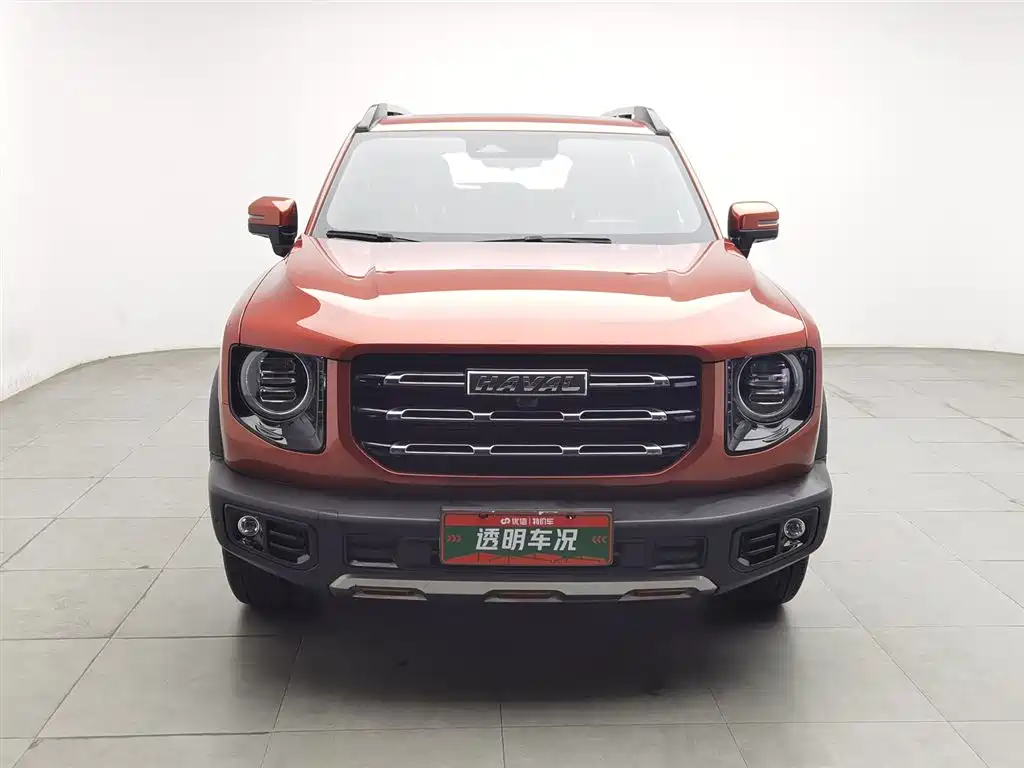 Haval Big Dog 2021 2.0T DCT 4WD Chinese Rural Dog Edition фото 3