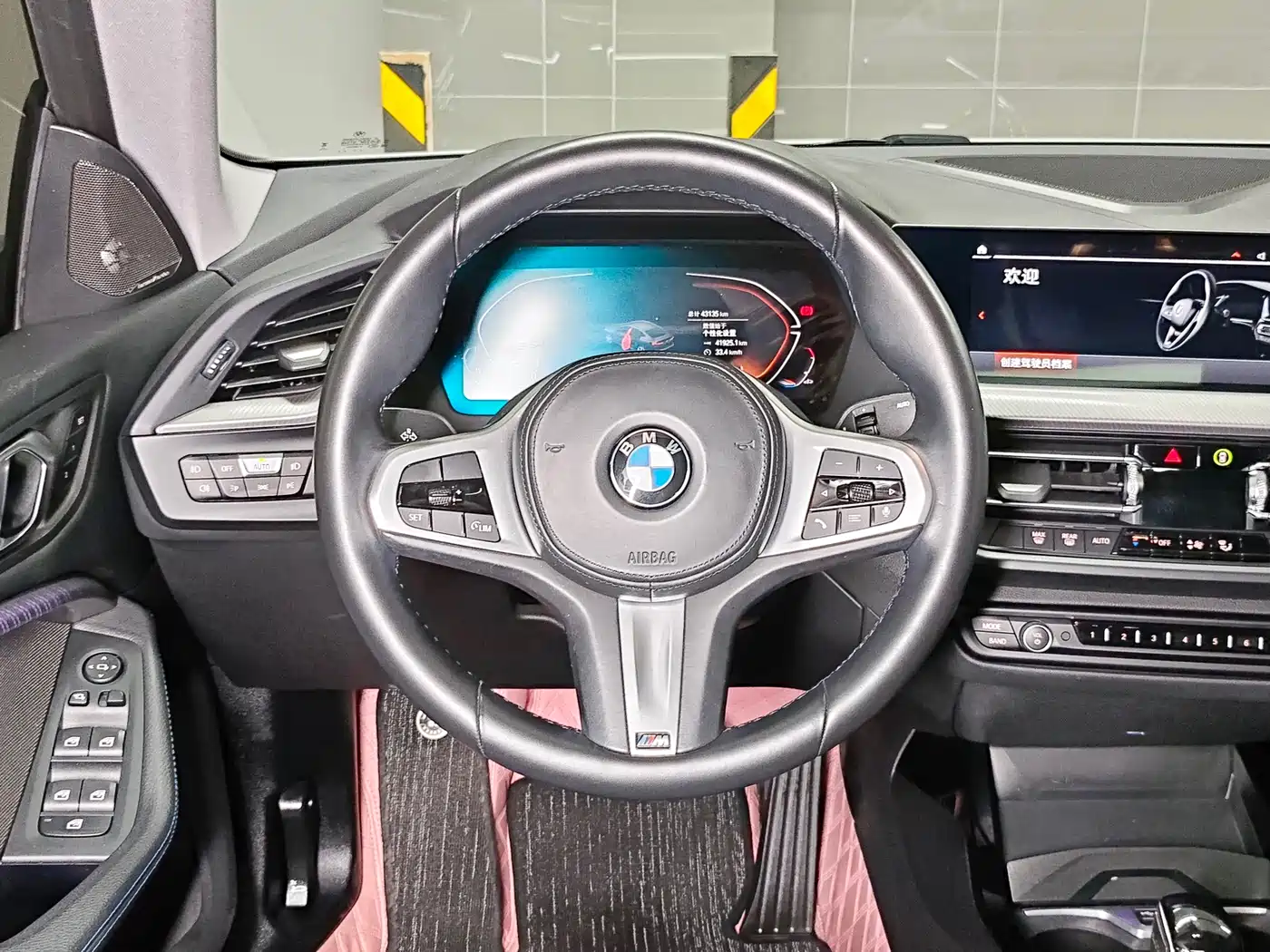 BMW 2 Series (Import) 2023 225i 4-Door Coupe M Sport Shadowline Package фото 19