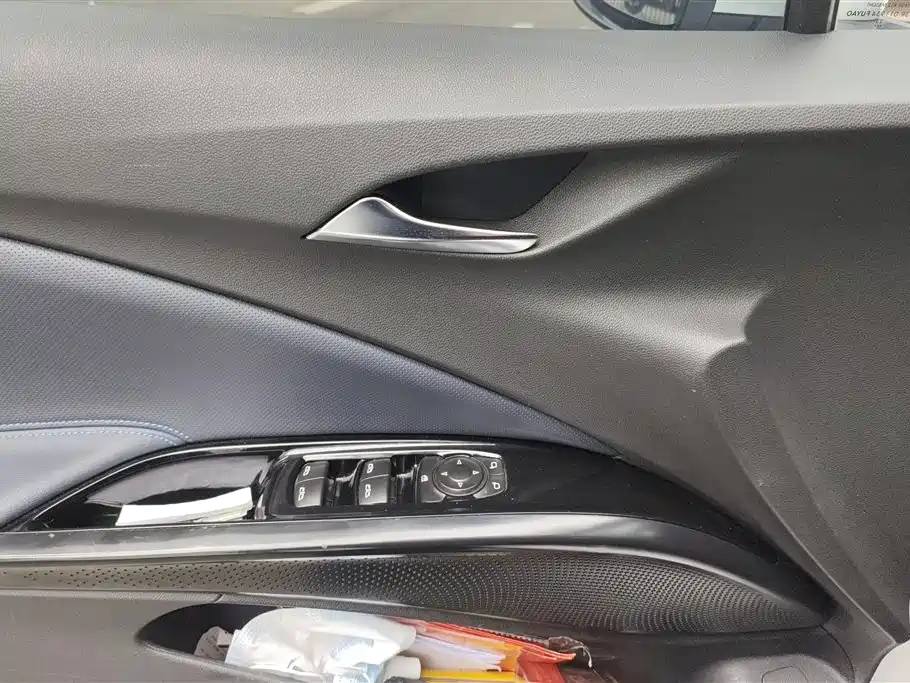 BUICK SLIGHTLY BLUE 6