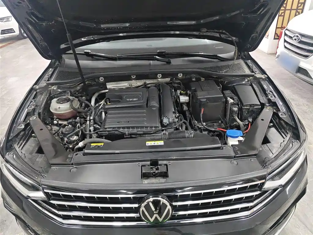 Volkswagen Magotan 2023 Model 2 Million Units Commemorative Edition 280TSI DSG Leading Version фото 20