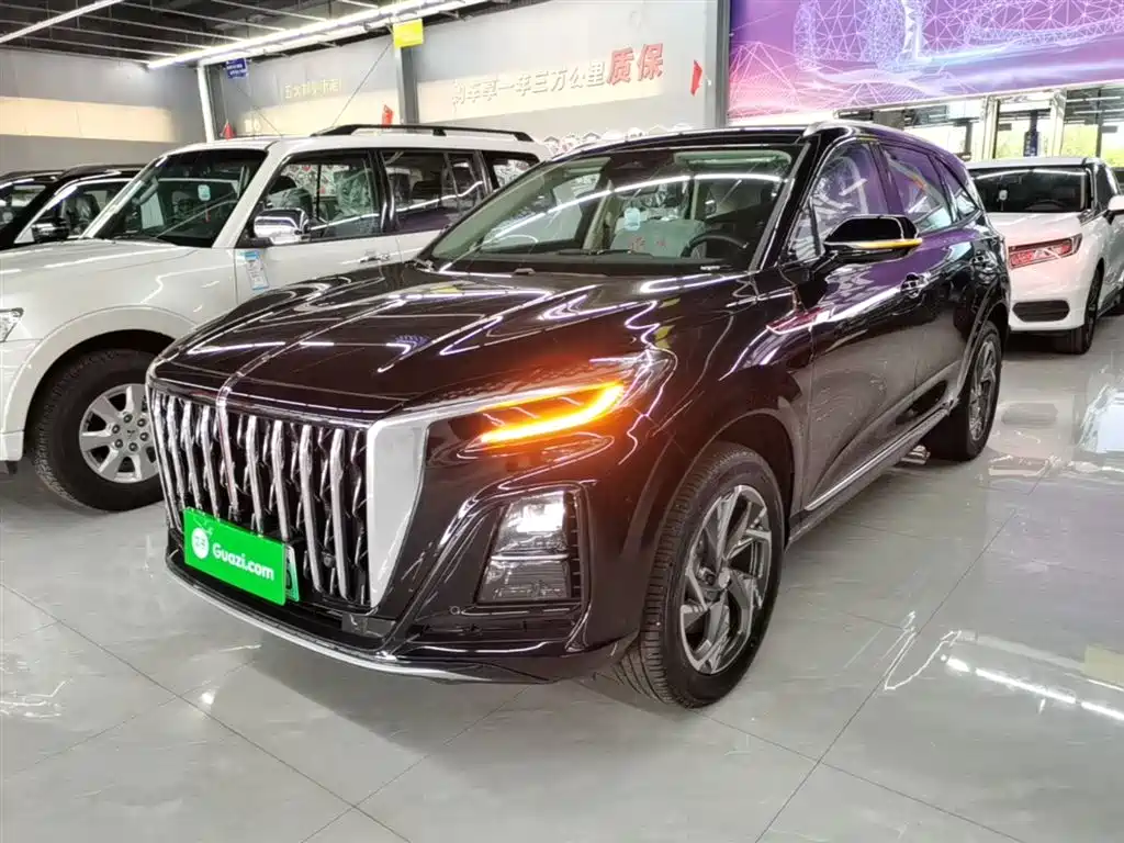 Hongqi HS3 PHEV 2025 PHEV 115km Power Edition фото 2