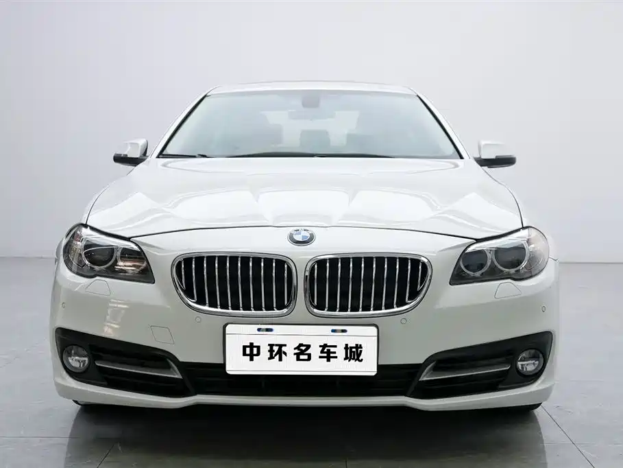 BMW 5 Series 2014 525Li Leading фото 4