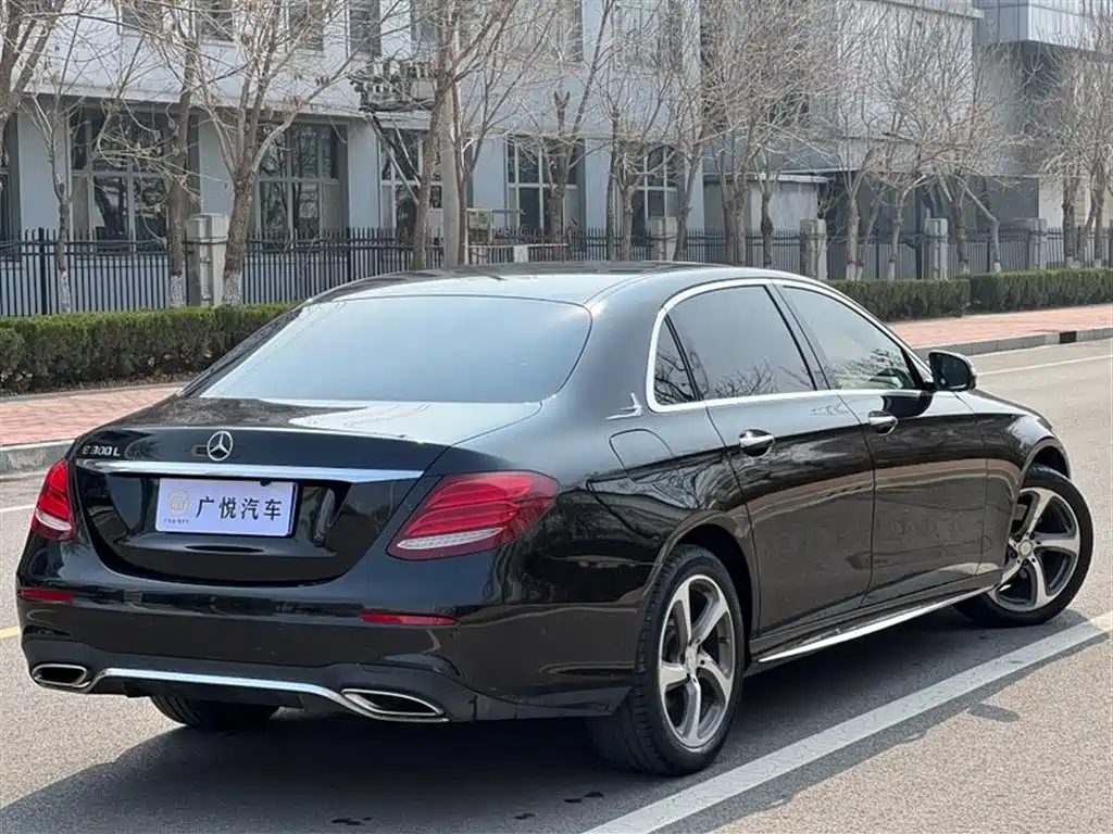 Mercedes-Benz E-Class 2017 E 200 L 4MATIC фото 9