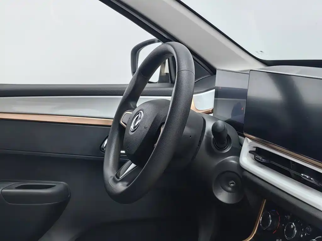 Dongfeng Yipai Nano BOX 2022 2022 Wind Chaser Edition 331KM Advanced Type