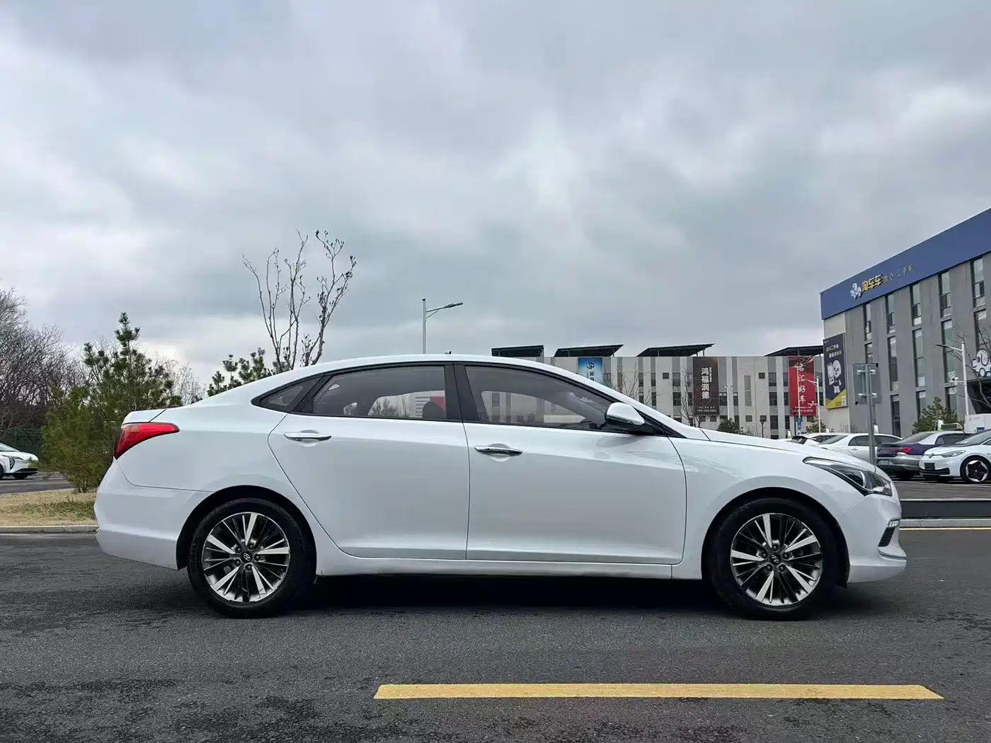 HYUNDAI NAME PICTURE